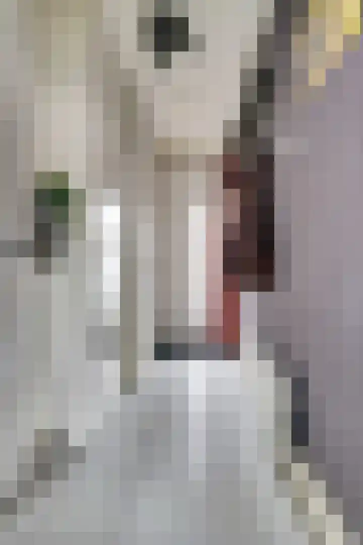 De Huterstraat 24 Oudheusden thumbnail 7