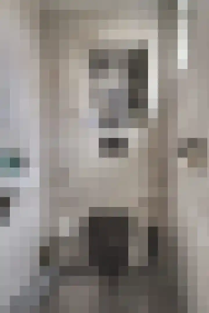 De Huterstraat 24 Oudheusden thumbnail 8