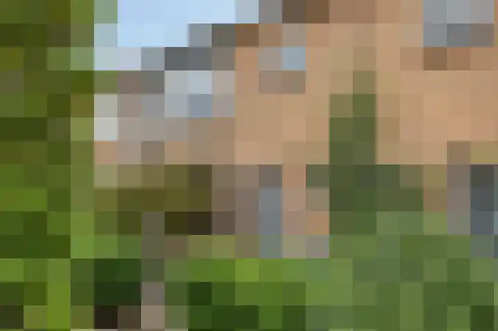 De Huterstraat 28 in Oudheusden
