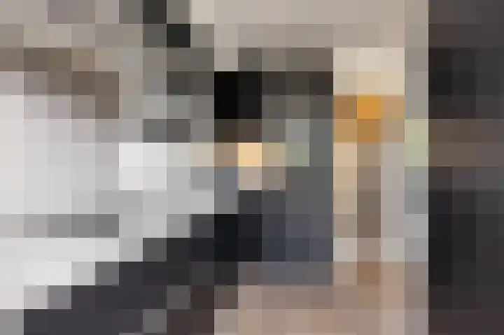 De Huterstraat 28 Oudheusden thumbnail 10