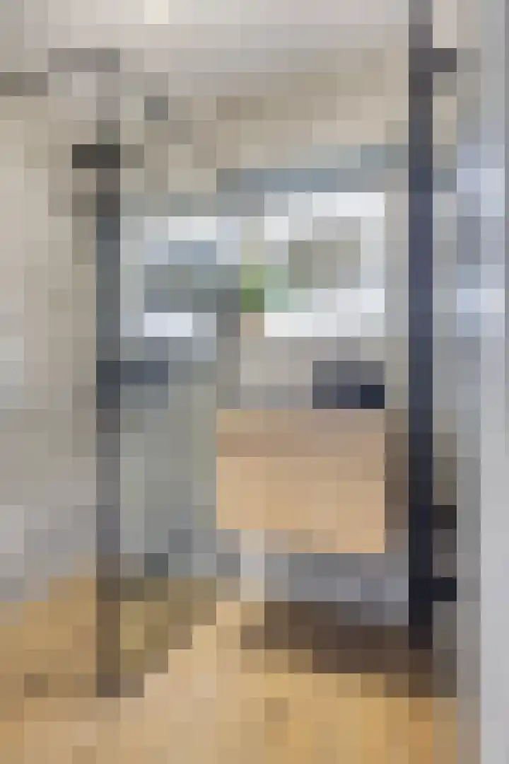 De Huterstraat 28 Oudheusden thumbnail 14