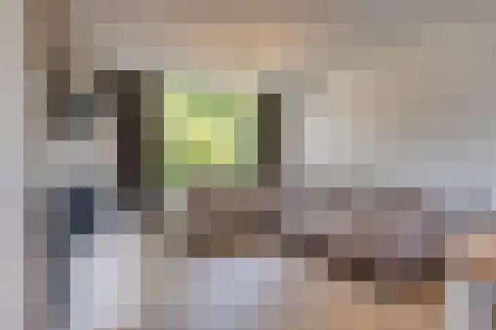De Huterstraat 28 Oudheusden thumbnail 7
