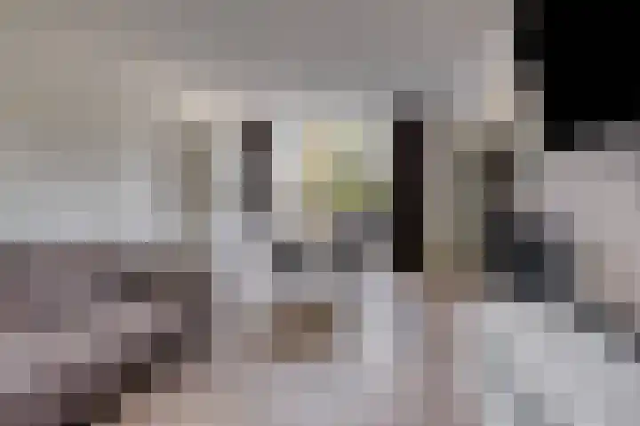 De Huterstraat 28 Oudheusden thumbnail 8