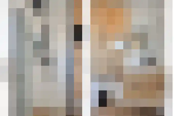 De Huterstraat 34 Oudheusden thumbnail 16