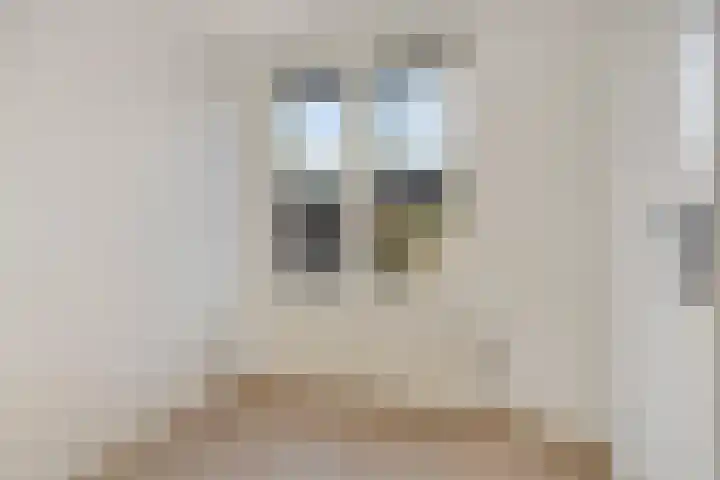 De Huterstraat 34 Oudheusden thumbnail 19