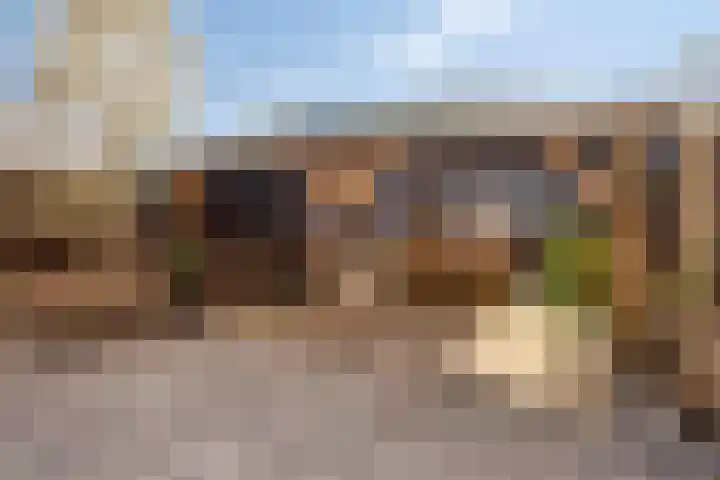 De Huterstraat 34 Oudheusden thumbnail 25