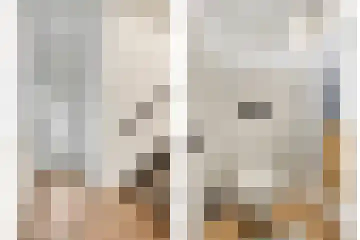 De Huterstraat 34 Oudheusden thumbnail 4