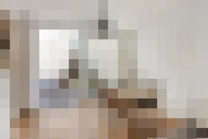 De Huterstraat 34 Oudheusden thumbnail 7