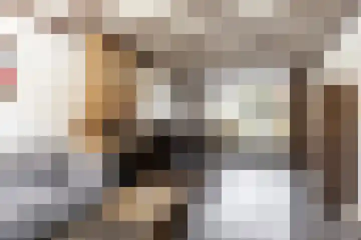 De Huterstraat 43 Oudheusden thumbnail 4