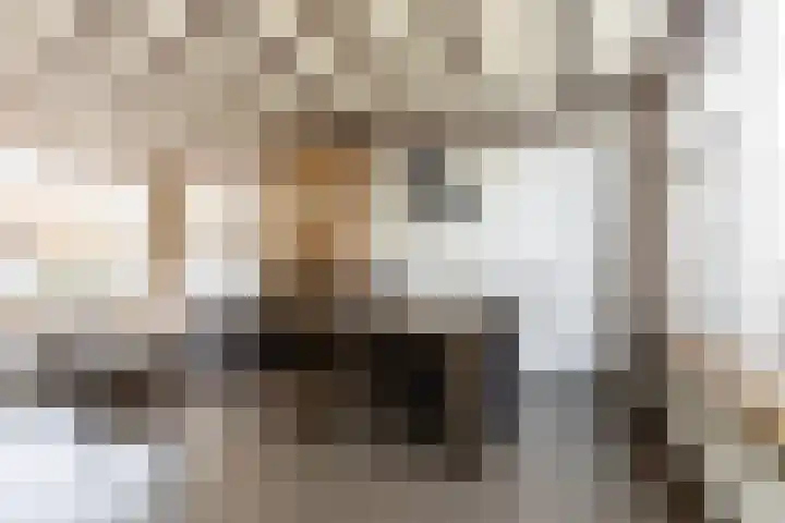 De Huterstraat 43 Oudheusden thumbnail 6