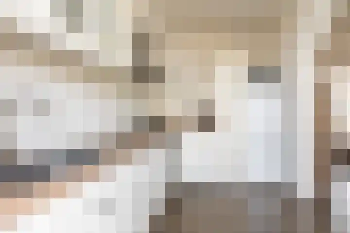 De Huterstraat 43 Oudheusden thumbnail 8