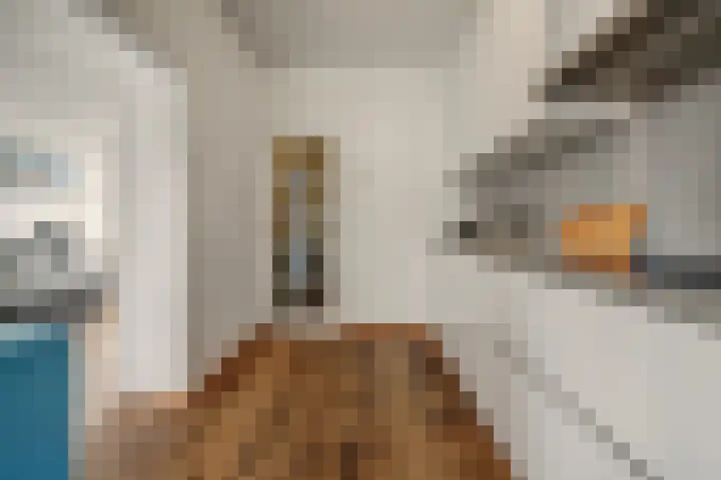 De Huterstraat 6 Oudheusden thumbnail 12