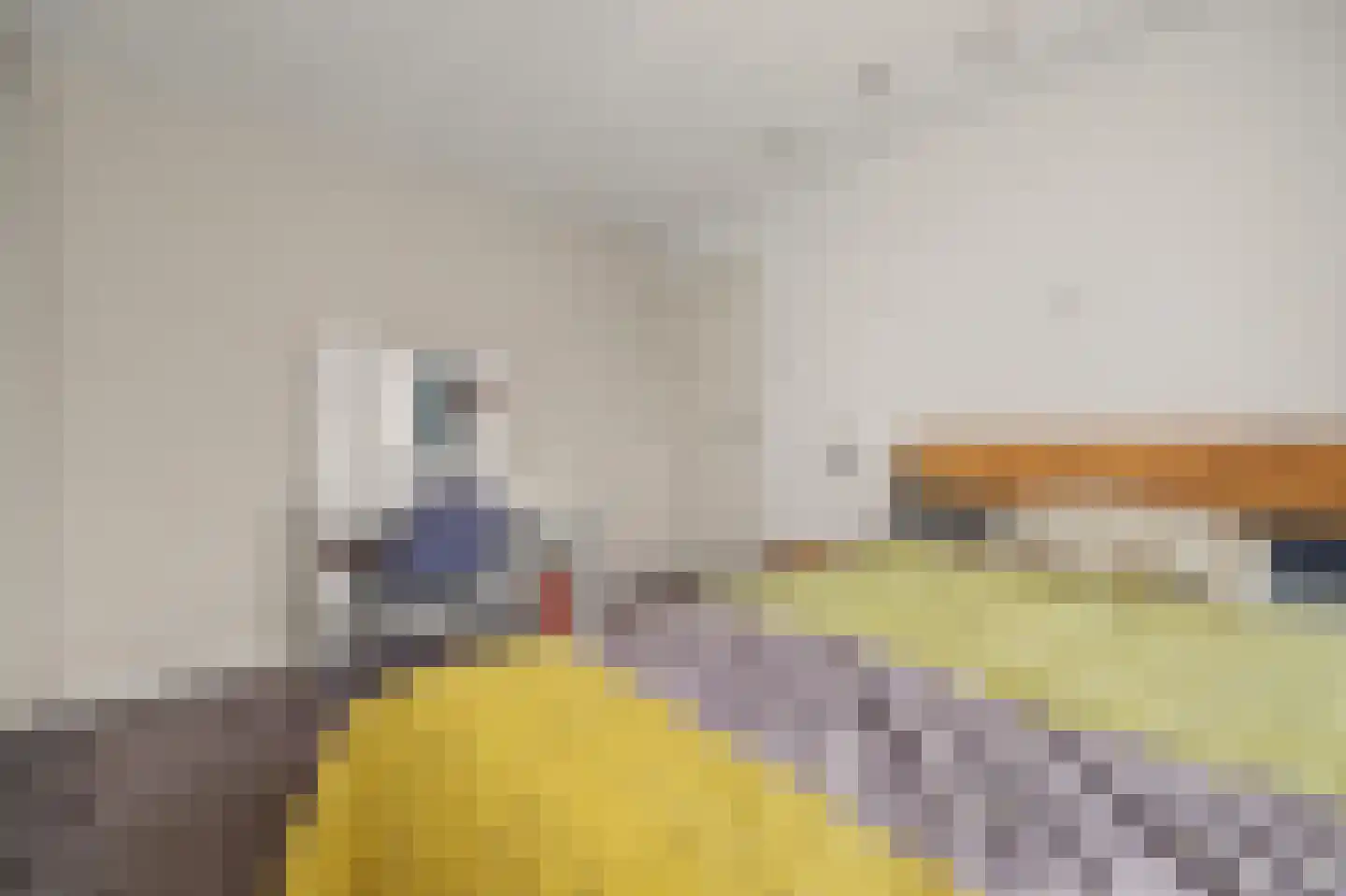 De Huterstraat 6 Oudheusden thumbnail 18