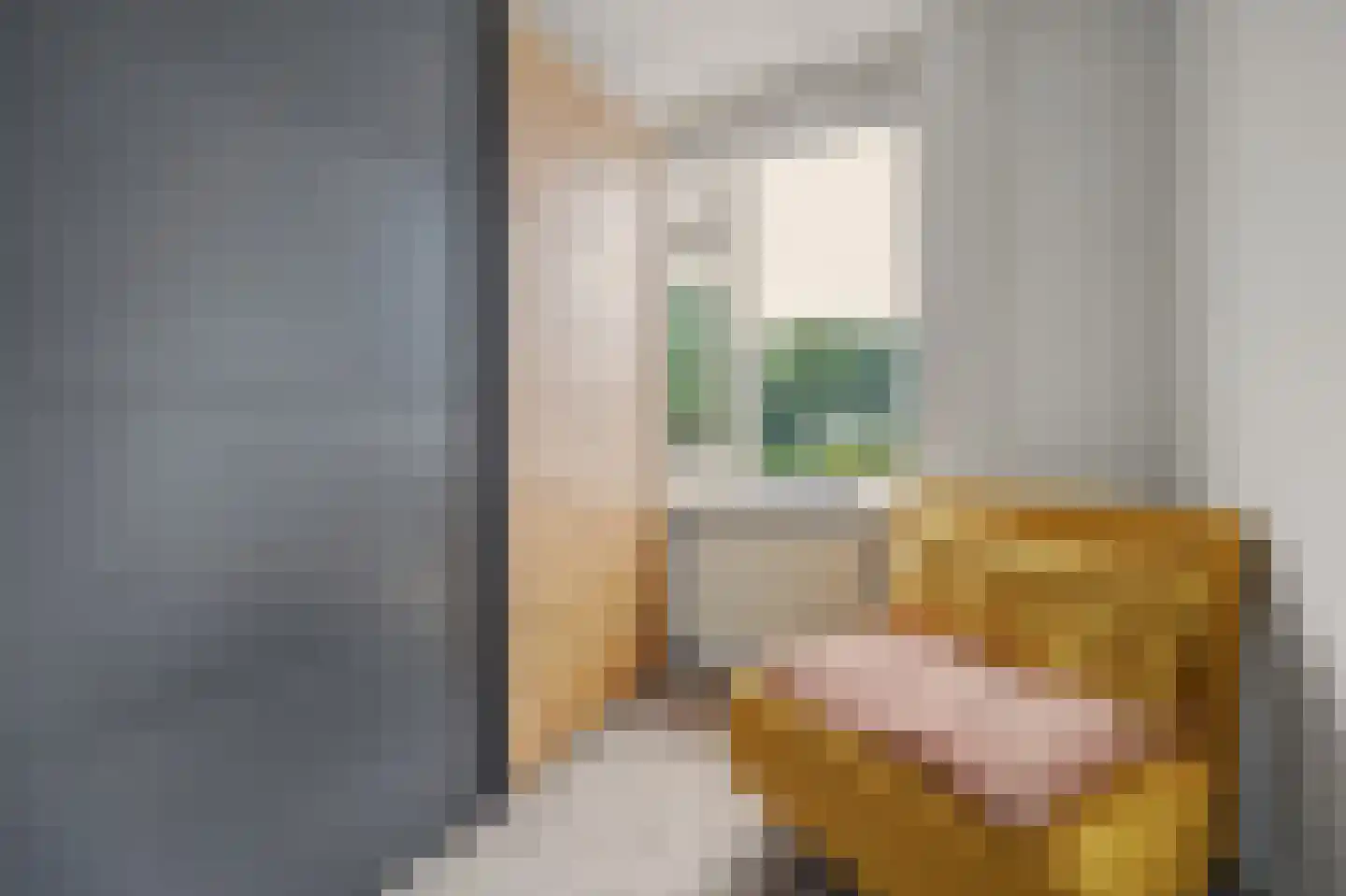 De Huterstraat 6 Oudheusden thumbnail 23