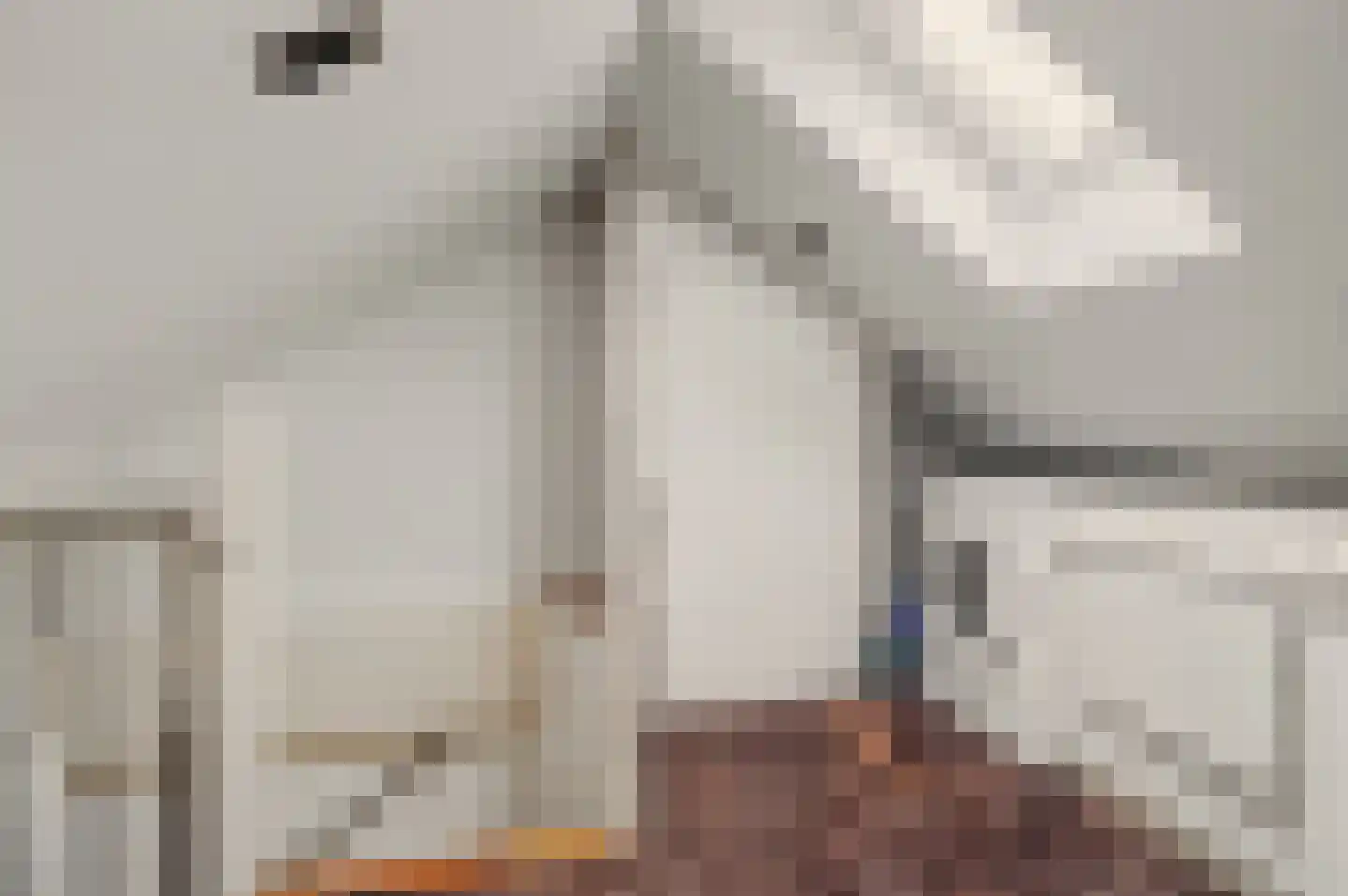 De Huterstraat 6 Oudheusden thumbnail 28