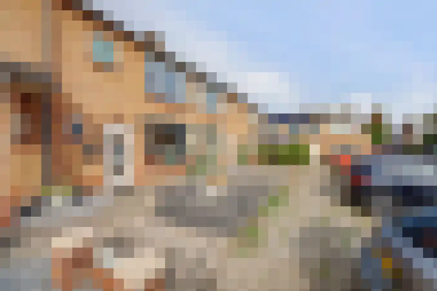 De Huterstraat 6 Oudheusden thumbnail 40