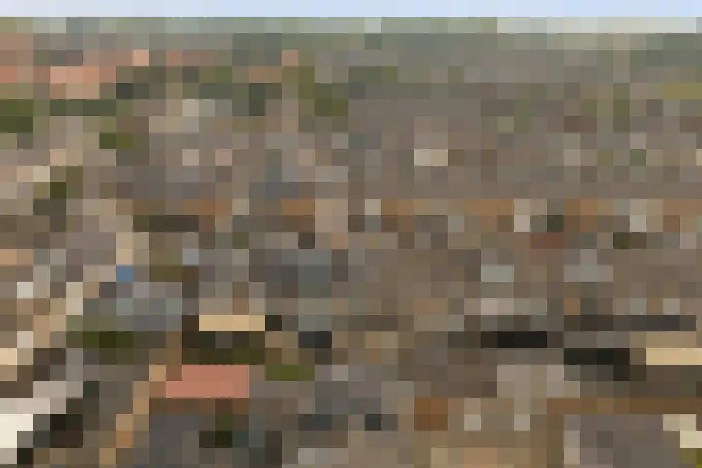 De Huterstraat 6 Oudheusden thumbnail 42