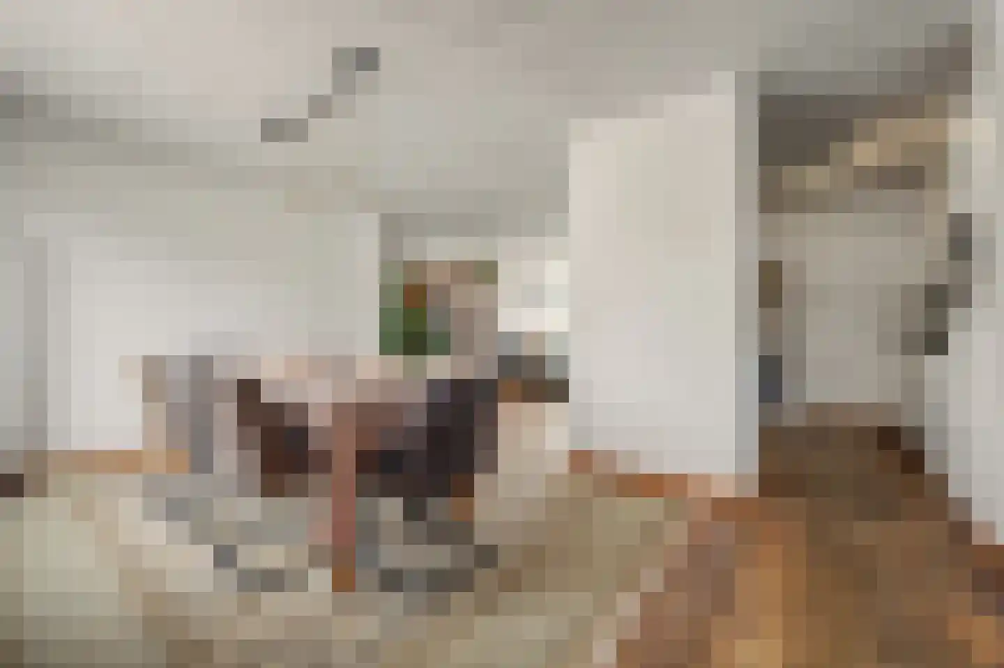 De Huterstraat 6 Oudheusden thumbnail 5
