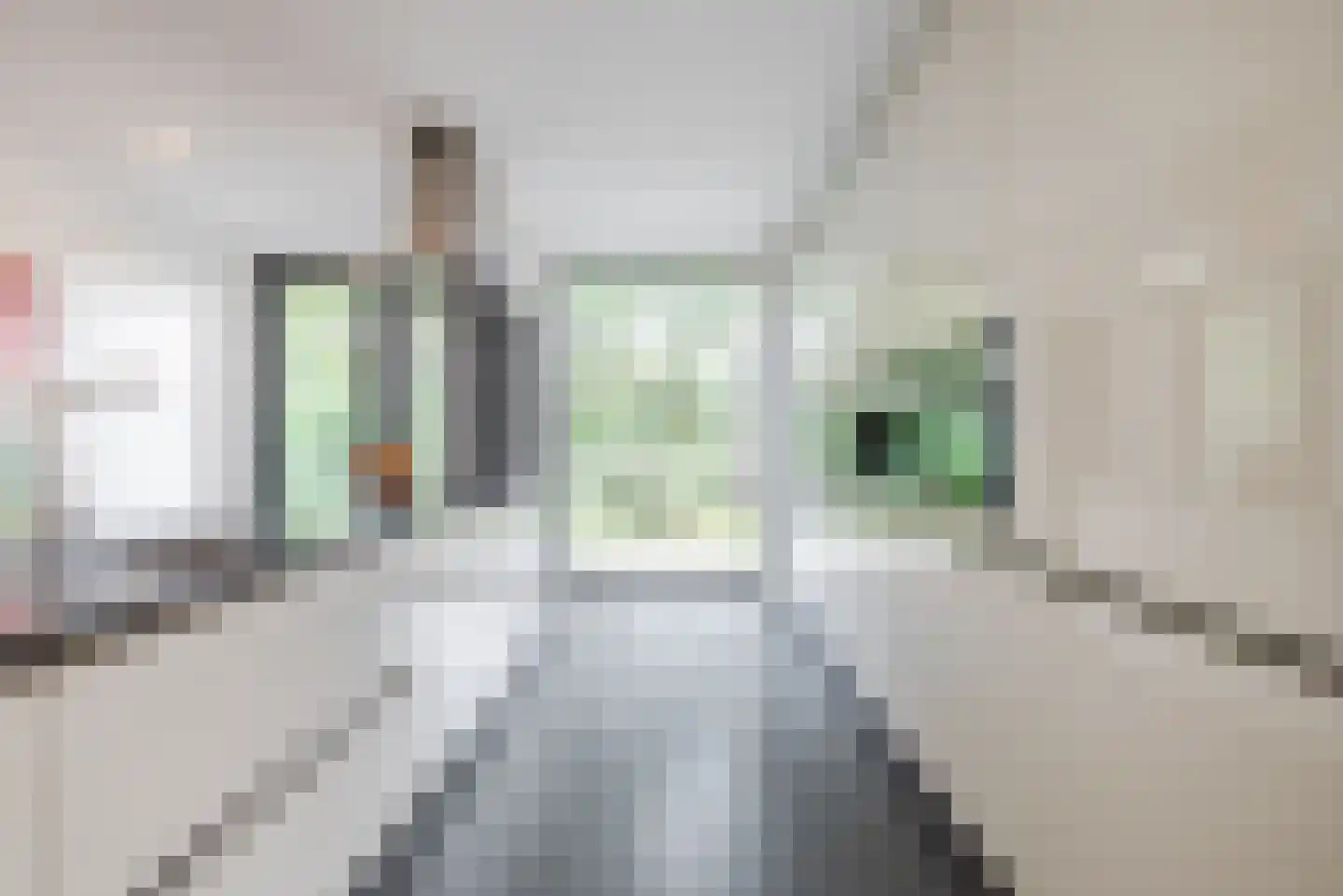 De Huufkes 1 Knegsel thumbnail 18