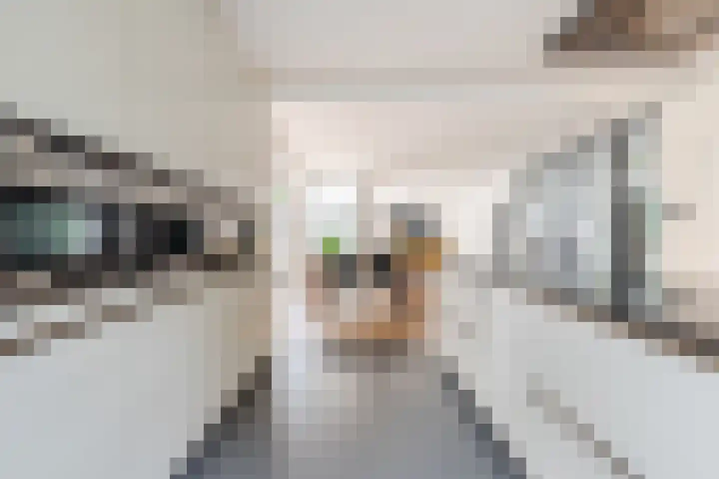 De Huufkes 1 Knegsel thumbnail 19