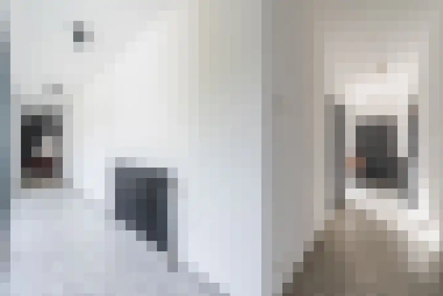 De Huufkes 1 Knegsel thumbnail 38