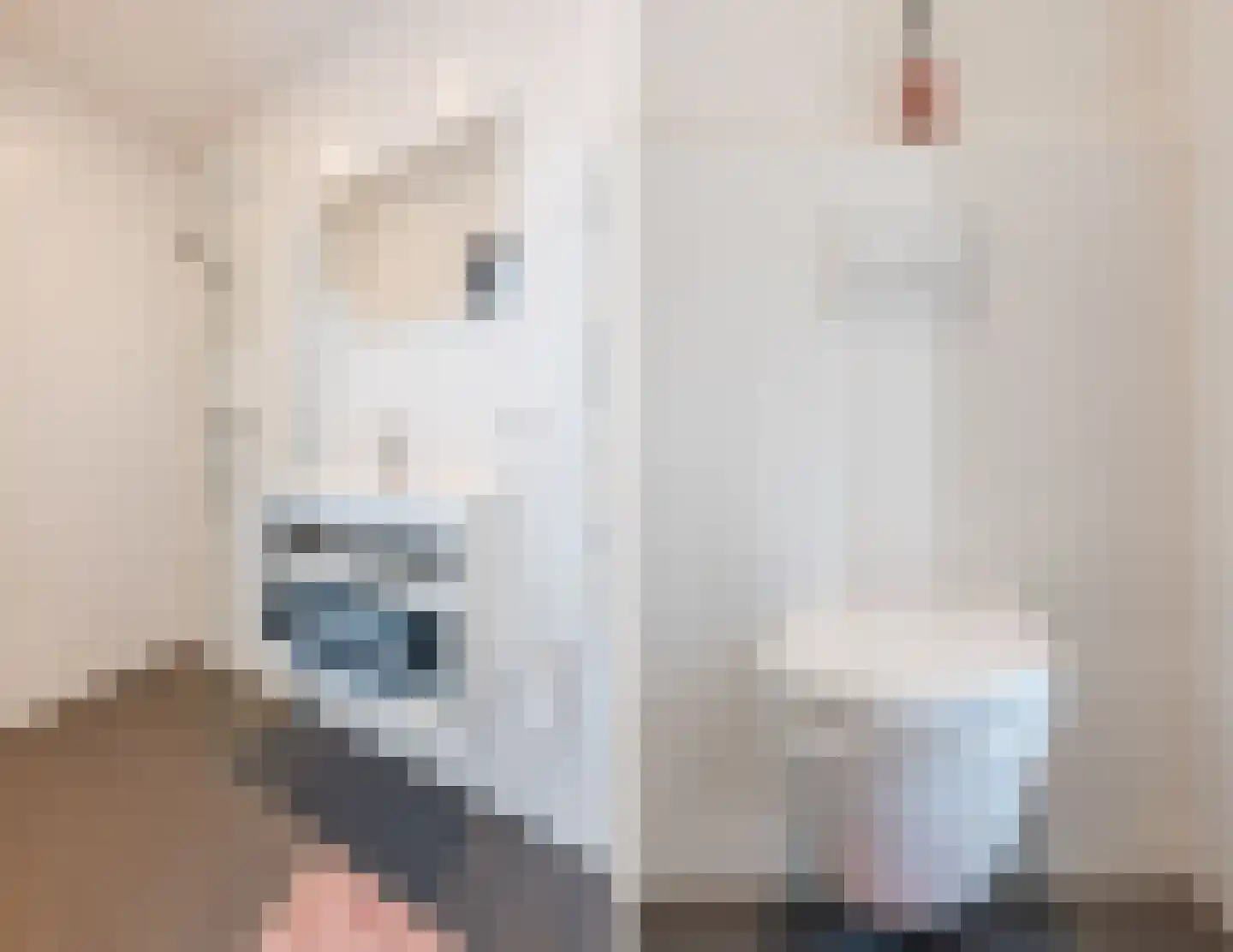 De Huufkes 1 Knegsel thumbnail 40