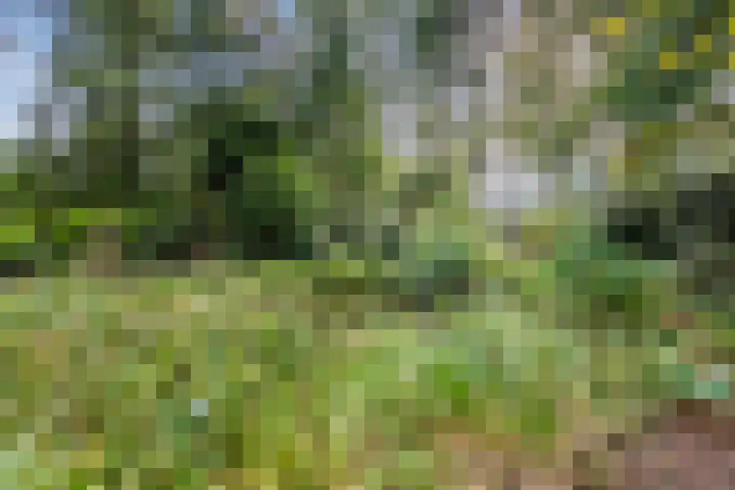 De Huufkes 1 Knegsel thumbnail 51