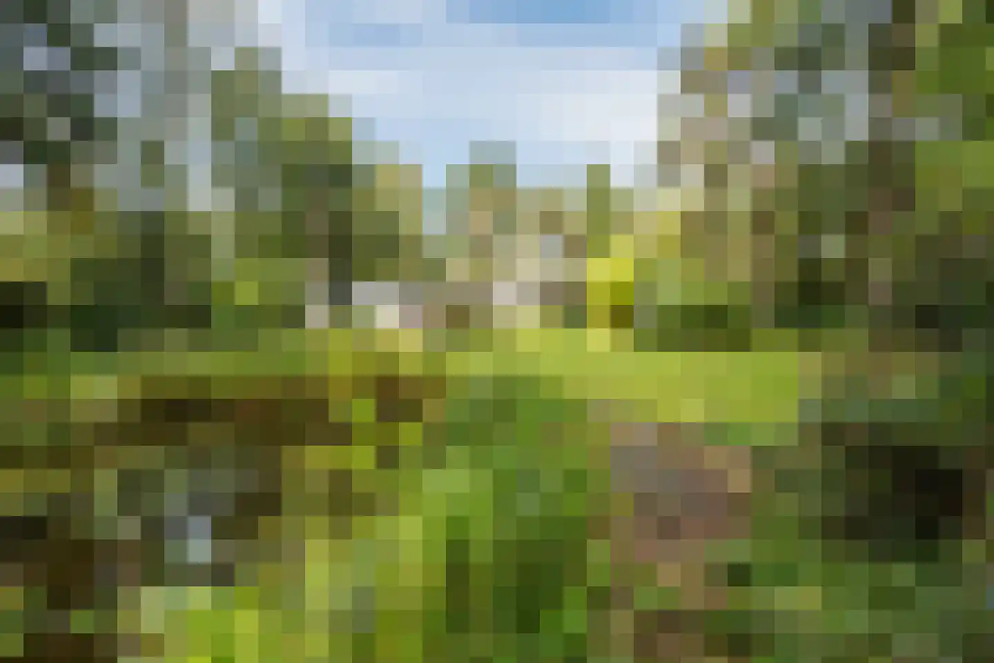 De Huufkes 1 Knegsel thumbnail 6