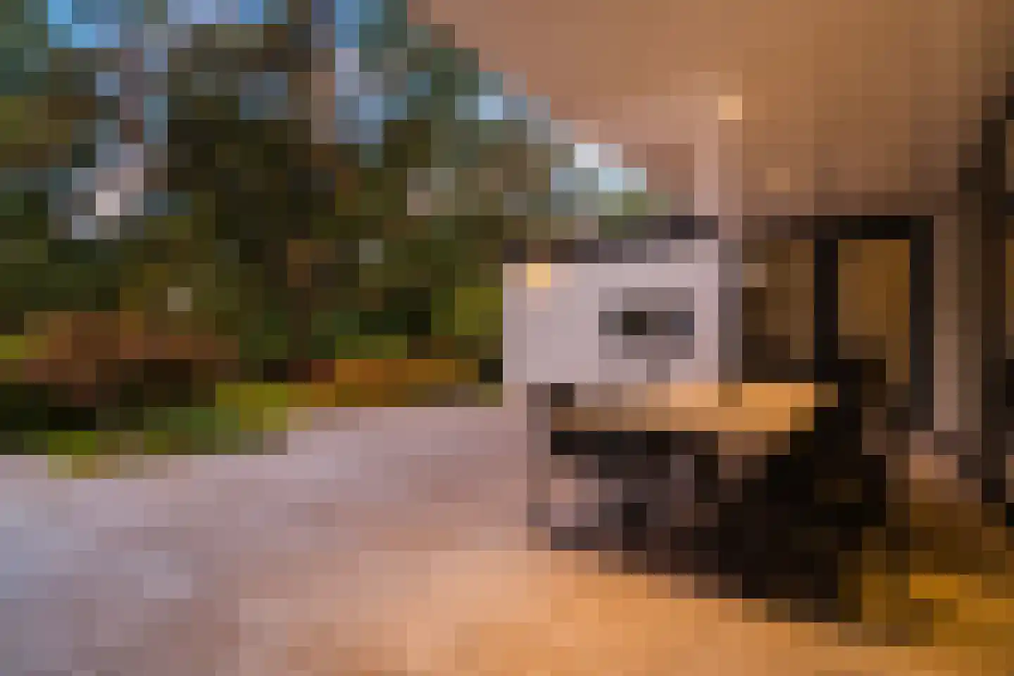 De Huufkes 1 Knegsel thumbnail 66