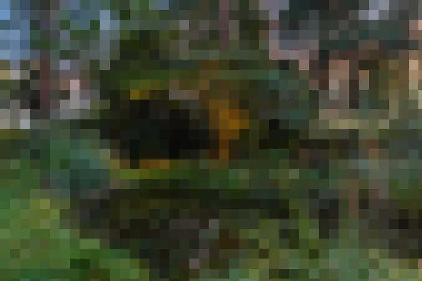 De Huufkes 1 Knegsel thumbnail 80