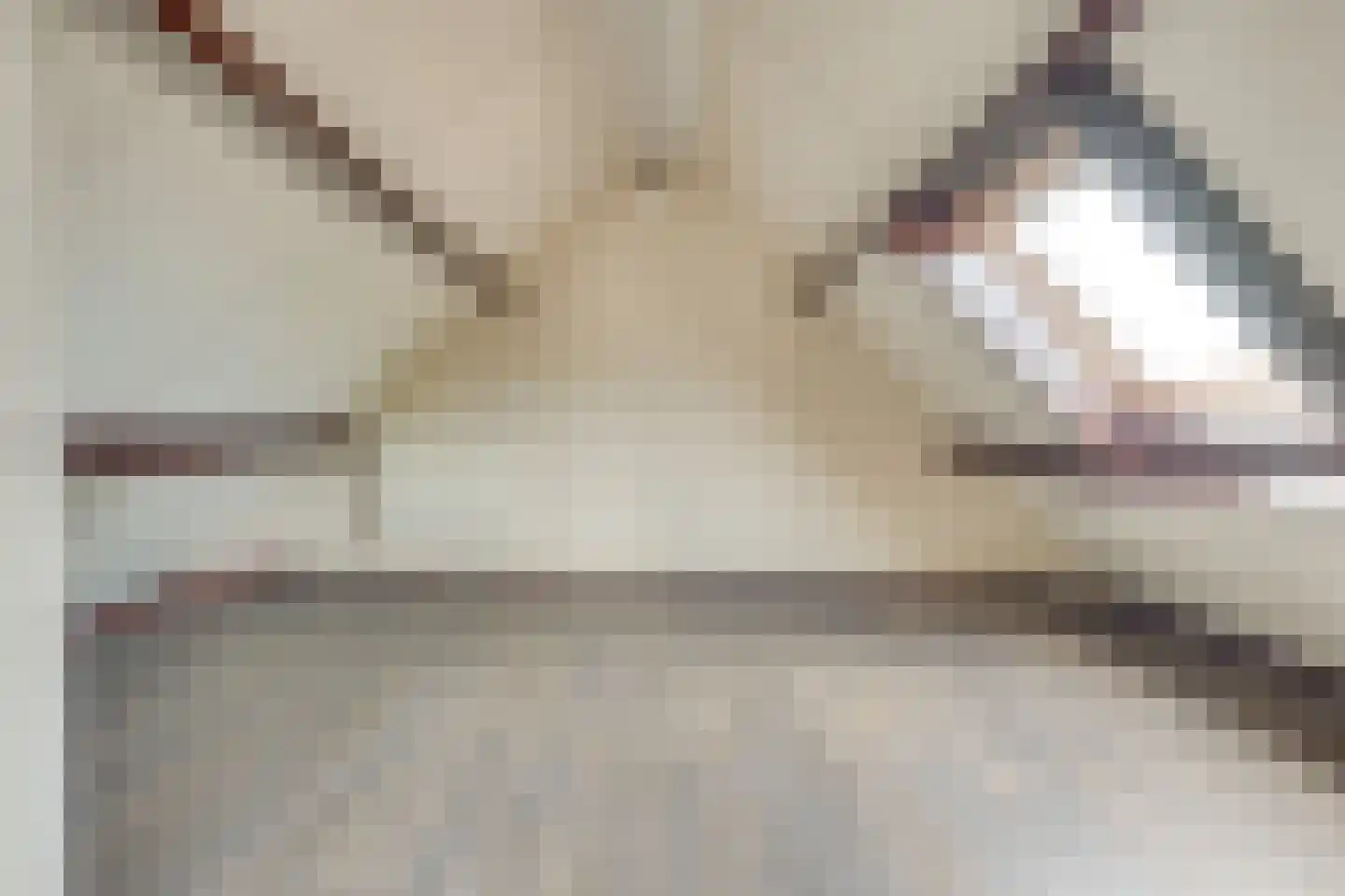 De Huufkes 13 Nuenen thumbnail 36