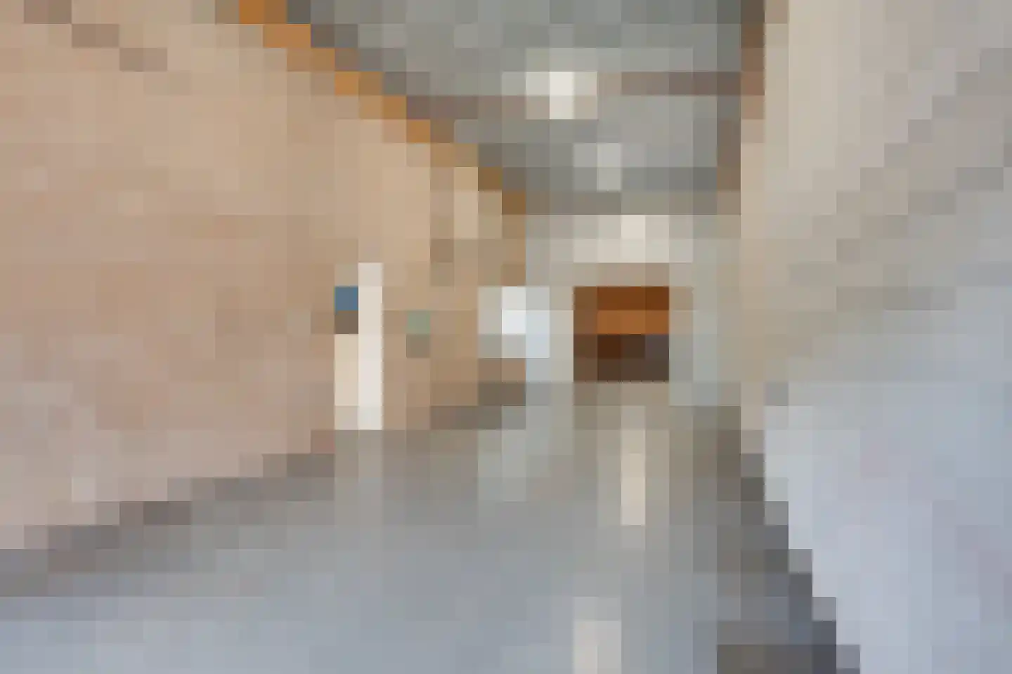 De Huufkes 13 Nuenen thumbnail 62