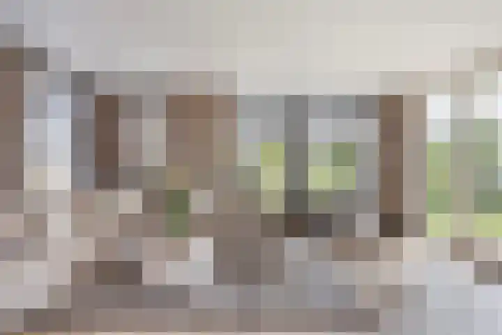 De Huysacker 19 Veldhoven thumbnail 5