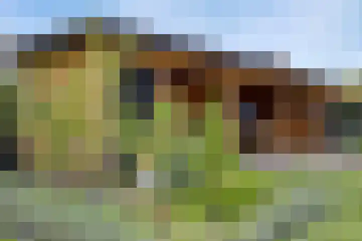 De Huysacker 19 Veldhoven thumbnail 62