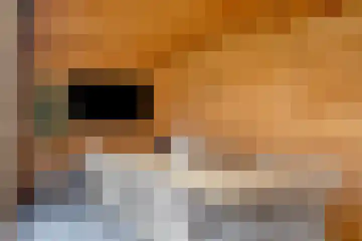 De Huysacker 19 Veldhoven thumbnail 64