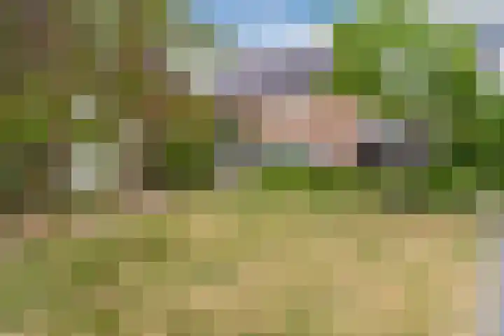 De Huysacker 53 Veldhoven thumbnail 57