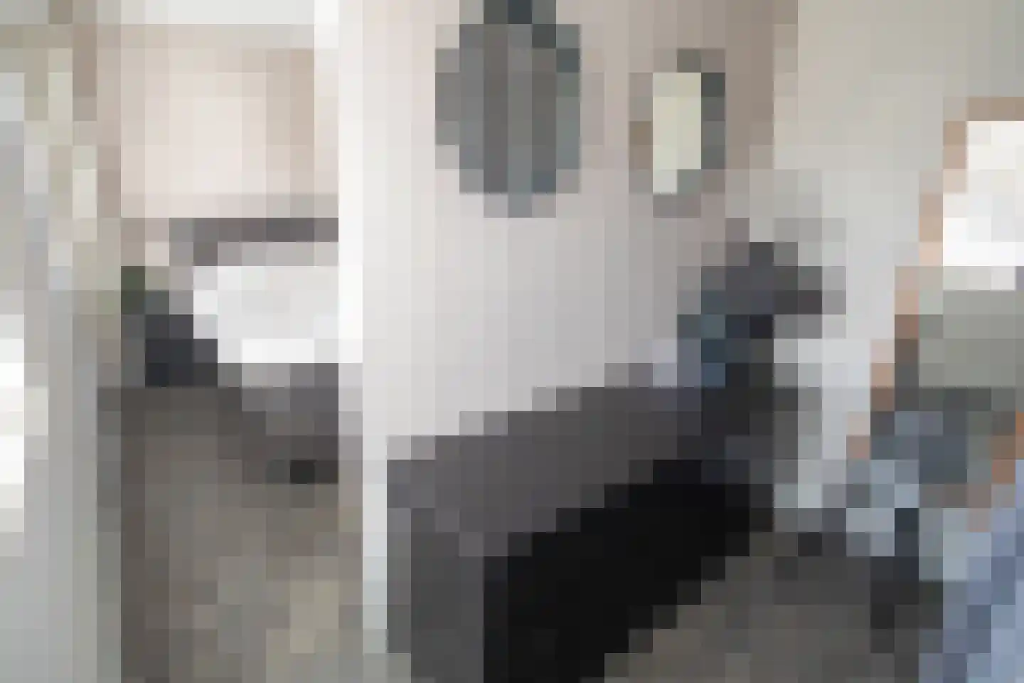 De Ibis 12 a Almelo thumbnail 30