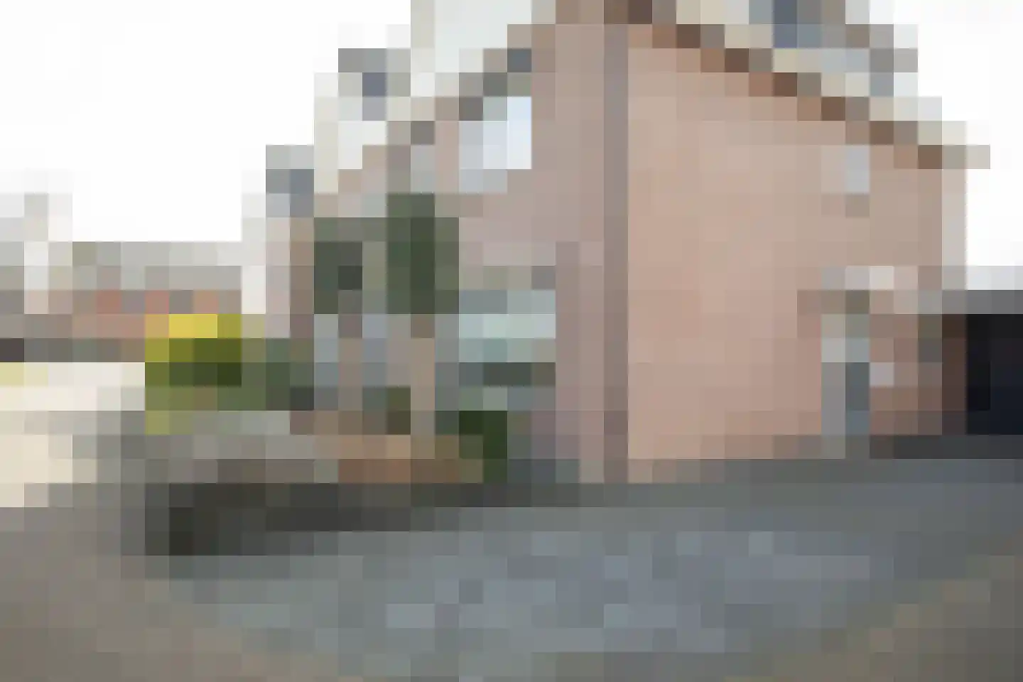 De Ibis 12 a Almelo thumbnail 6