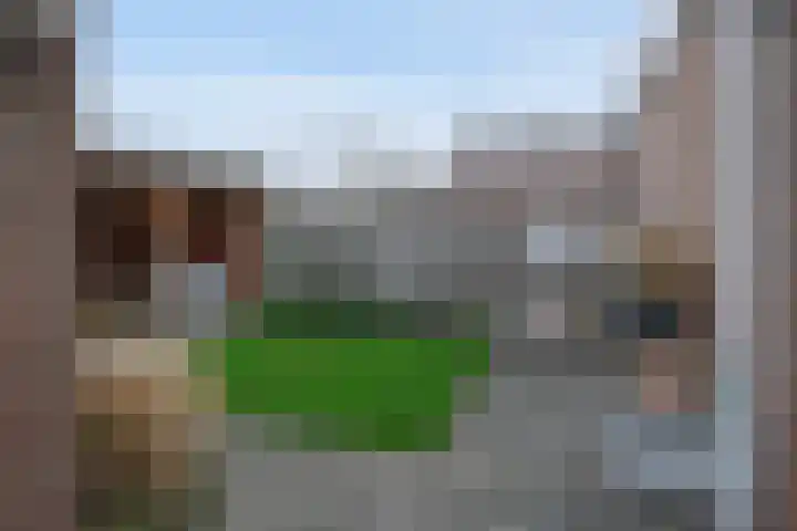 De Ibis 32 Almelo thumbnail 27