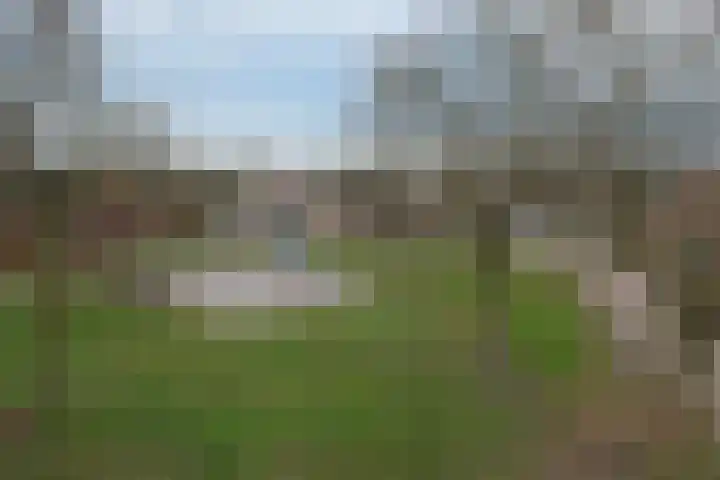 De Ibis 32 Almelo thumbnail 36