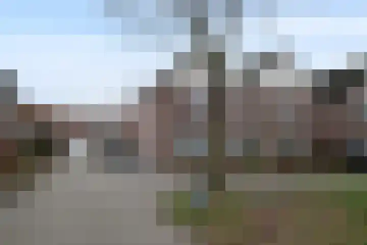 De Ibis 32 Almelo thumbnail 39