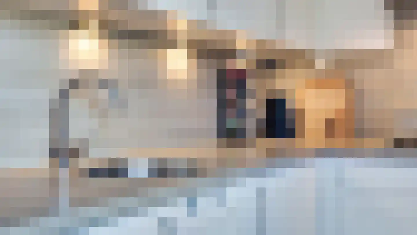 De Ibis 4 Almelo thumbnail 11