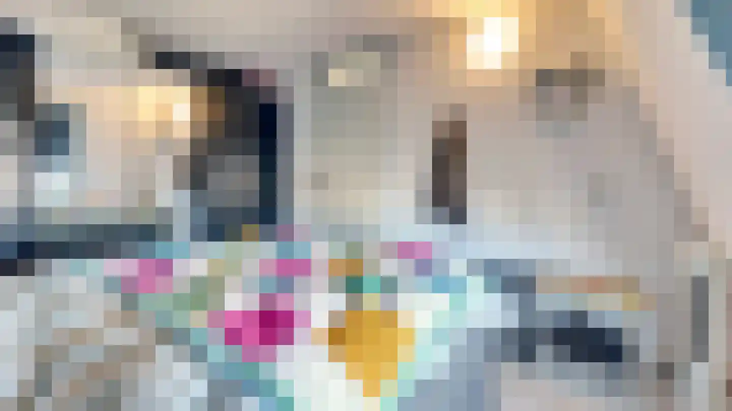 De Ibis 4 Almelo thumbnail 15