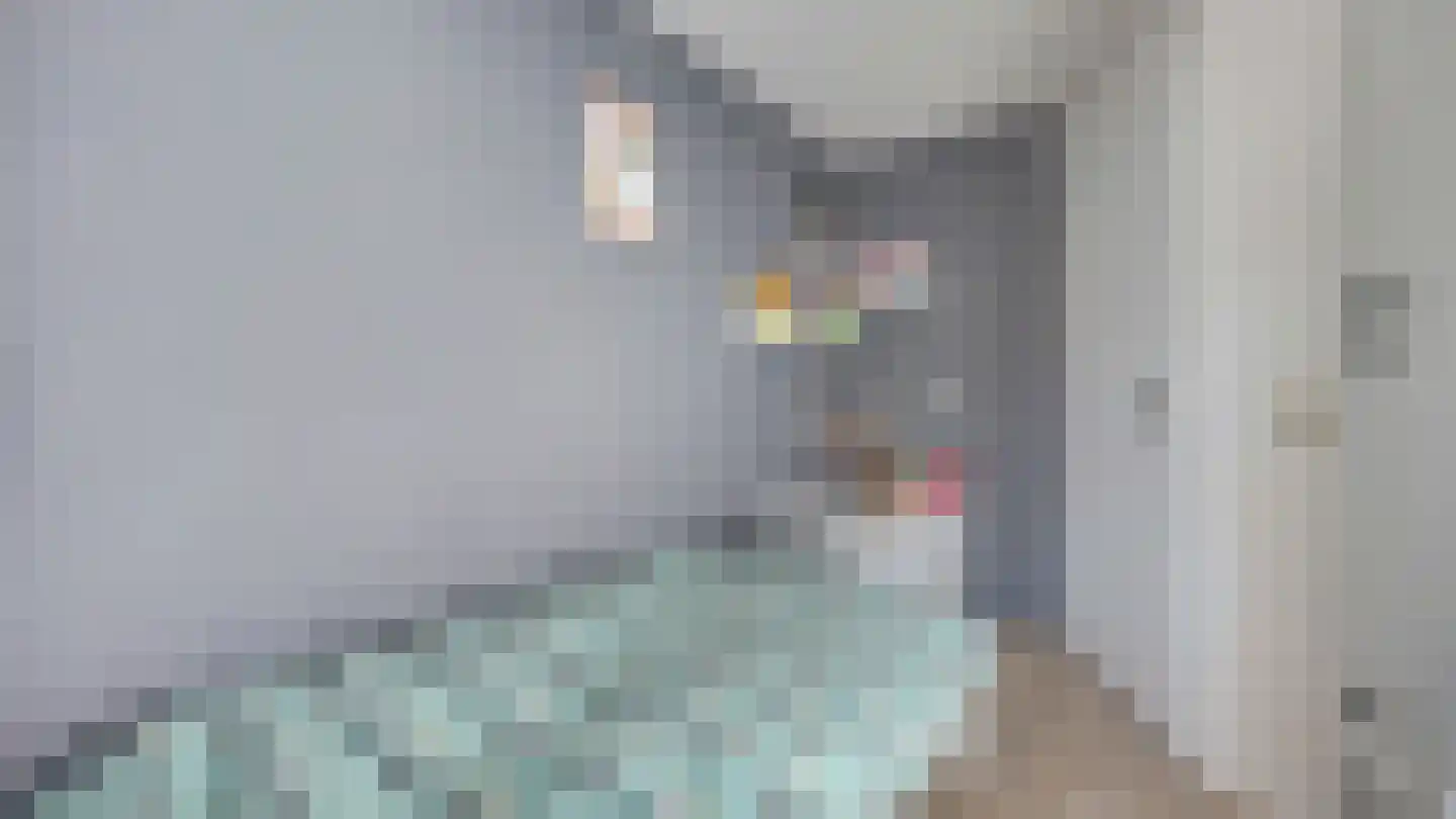De Ibis 4 Almelo thumbnail 16