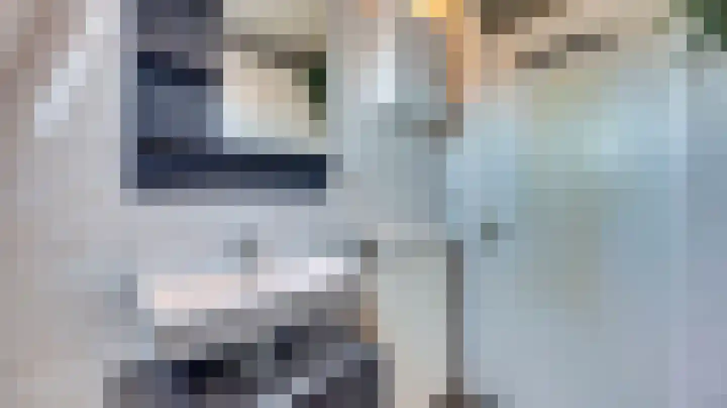 De Ibis 4 Almelo thumbnail 21