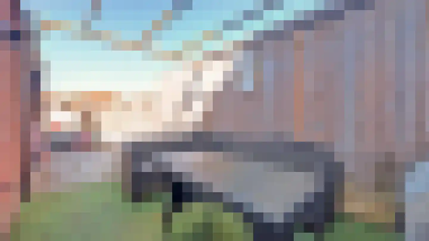 De Ibis 4 Almelo thumbnail 23