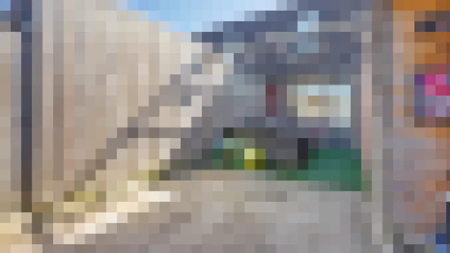 De Ibis 4 Almelo thumbnail 25