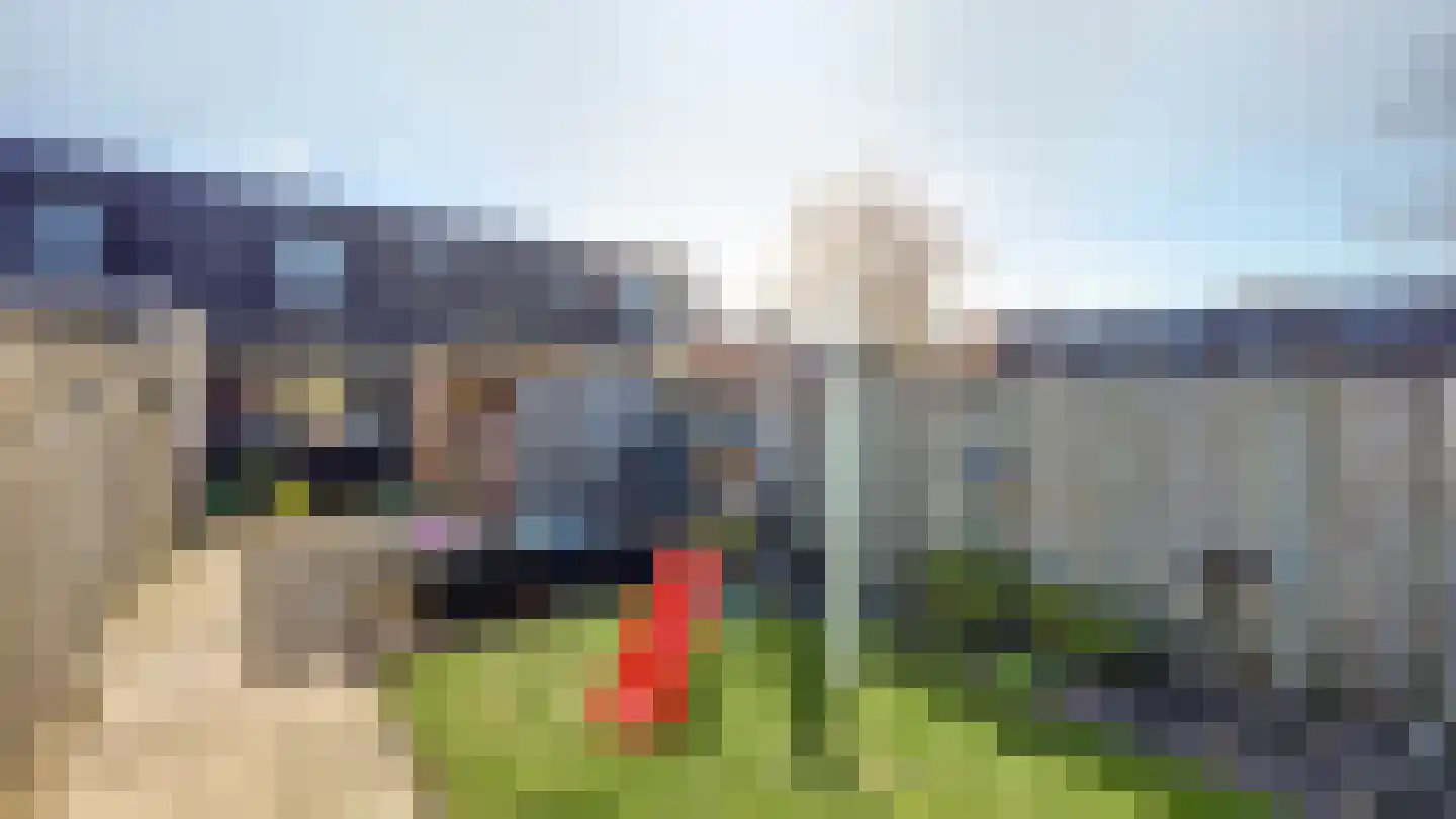 De Ibis 4 Almelo thumbnail 27