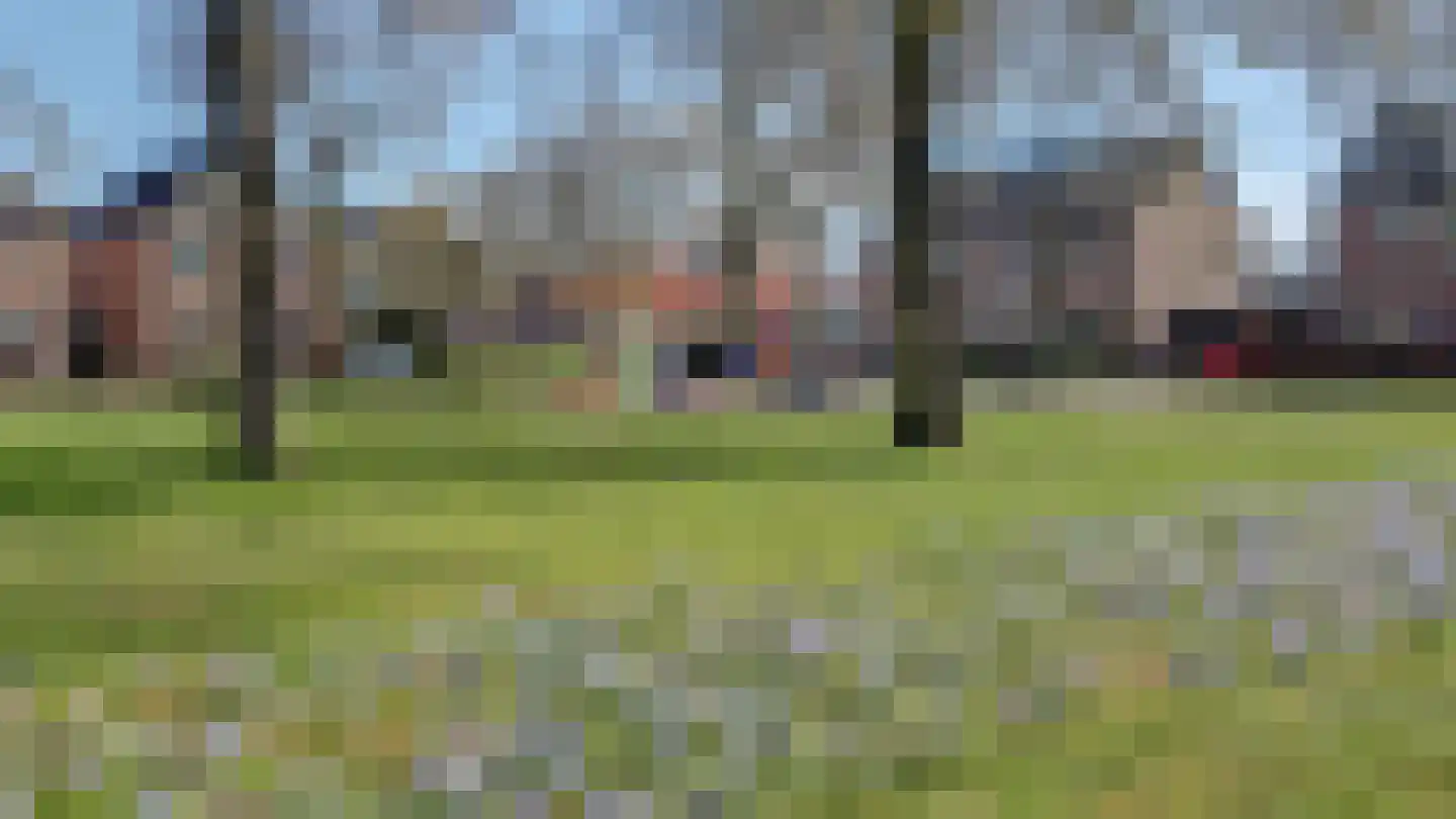 De Ibis 4 Almelo thumbnail 29