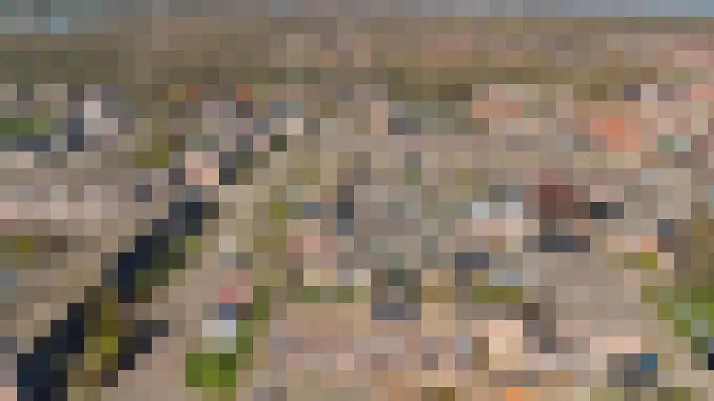 De Ibis 4 Almelo thumbnail 31